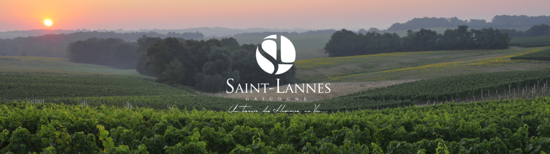 Saint Lannes vins gascogne