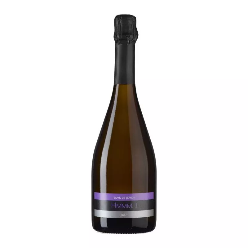 Magnum Hmmm Blanc de Blancs - Vinovalie - 150 cl