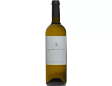 Agrumes et Cætera Pacherenc sec - Domaine Capmartin