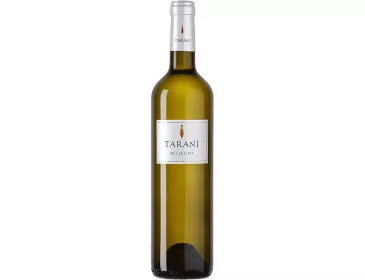Tarani blanc - Vinovalie