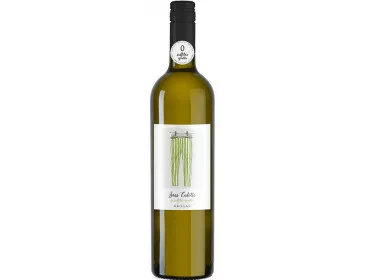 Sans Culotte Gaillac Blanc - Vinovalie