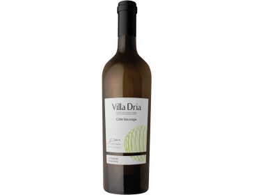 photo du vin Magnum Côte Sauvage 2020 Villa Dria