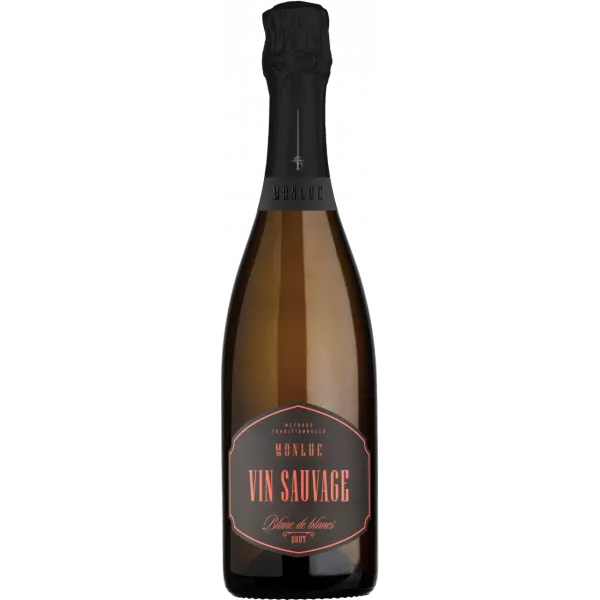 Vin sauvage brut - Château Monluc - 75 cl