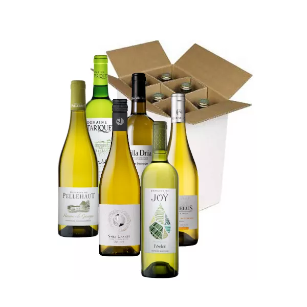 Offre découverte - Côtes de Gascogne Blanc sec - 6 bouteilles