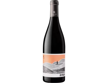 En Passant rouge - Domaine Gayda - 75 cl
