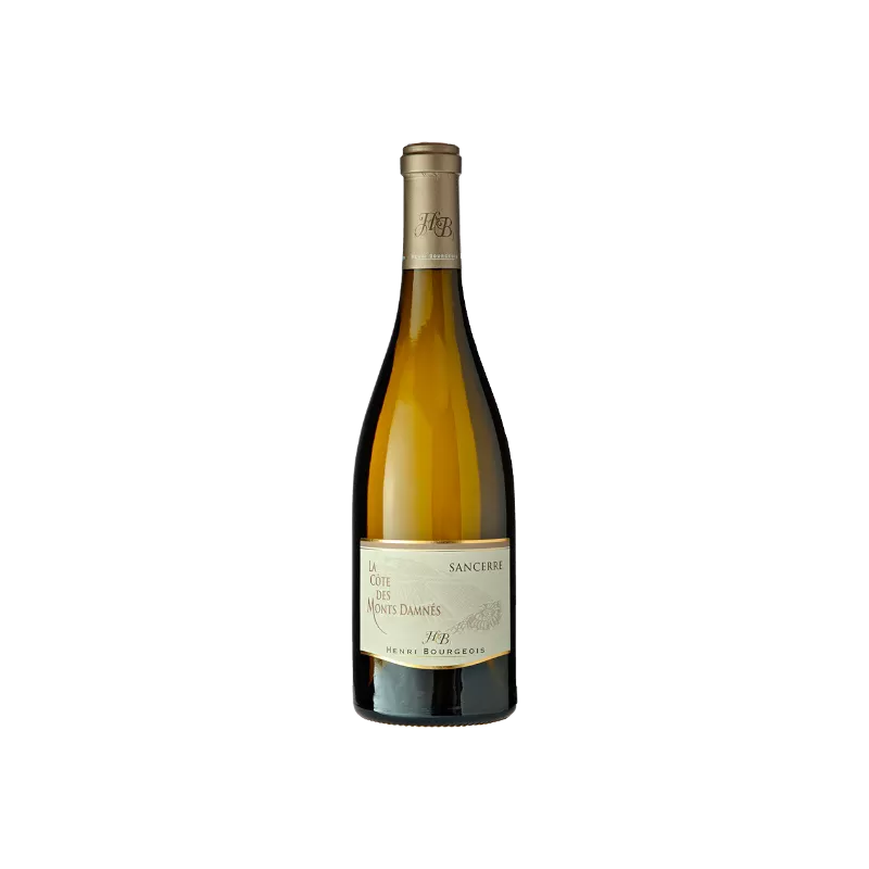 La Côte des Monts Damnés - Domaine Henri Bourgeois