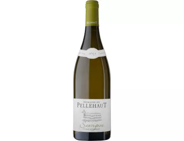 Sauvignon - Château Pellehaut - 75 cl