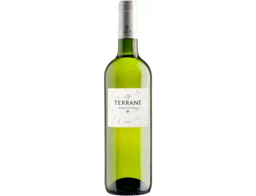 Terrane Blanc - Cave de Labastide - 75 cl