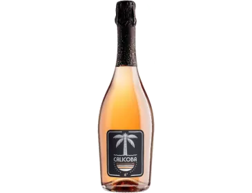 photo Calicoba Vignerons de Labastide