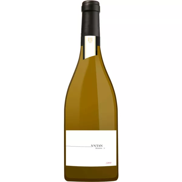 Antan blanc Vigné-Lourac - Alain Gayrel - 75 cl