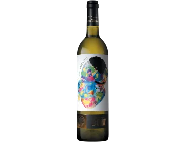 L'Art en Cave cuvée Kashink - Cave de Saint-Chinian - 75 cl