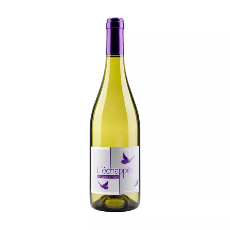 L'échappée blanc sec - Vignobles Jérôme Bézios - 75 cl L'échappée blanc sec - Vignobles Jérôme Bézios - 75 cl