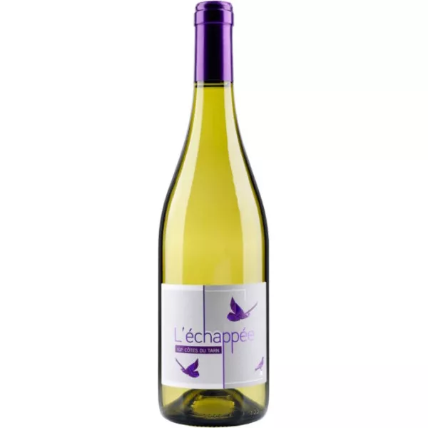 L'échappée blanc sec - Vignobles Jérôme Bézios - 75 cl