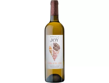 Ode à la Joie - Domaine de Joy - 75 cl