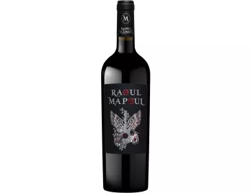 Raoul Mapoul AOC 2022 - Cave de Saint-Chinian - 75 cl