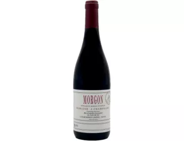 Morgon 2017 - Domaine...