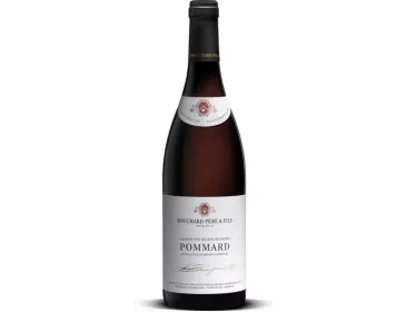 Pommard 2019 - Bouchard...