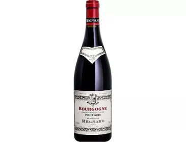 Bourgogne Pinot noir 2023 -...