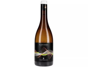 Cantera 2023 - Lionel Osmin...