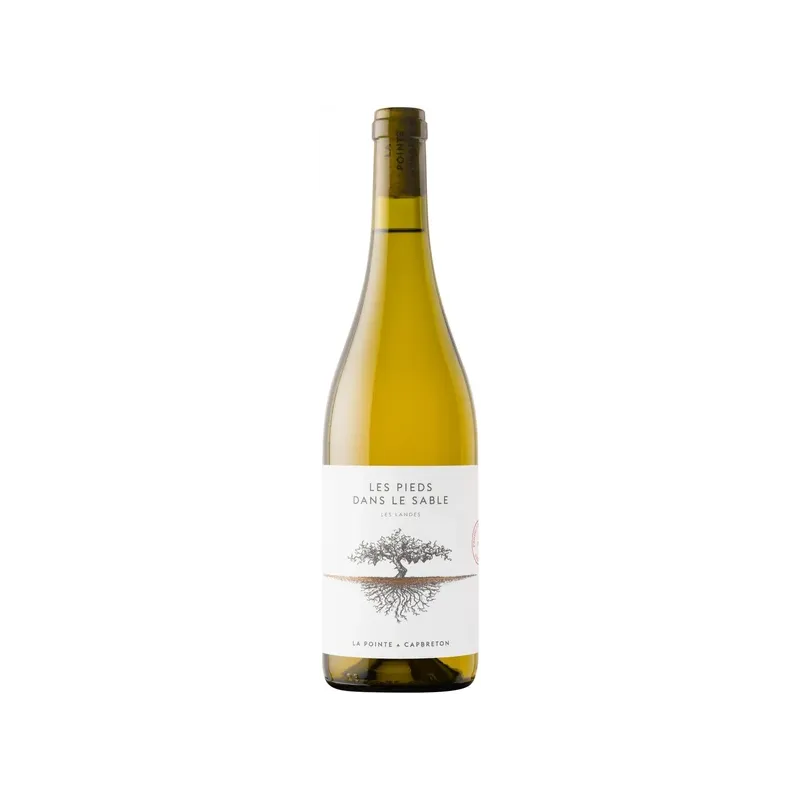 Bouteille des Pieds dans le sable blanc - Domaine de La Pointe - 75 cl