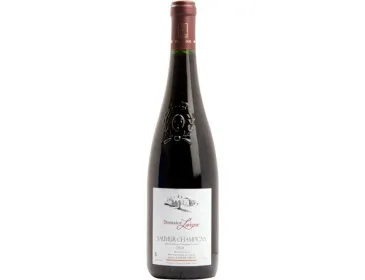 Bouteille Saumur Champigny Domaine Lavigne - 75 cl