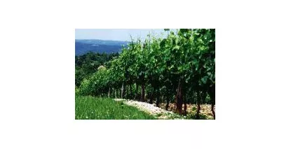 Nos Cahors - Large choix de vins de Cahors au meilleur prix