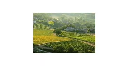 Nos Comté Tolosan - Large choix de vins du Comté Tolosan