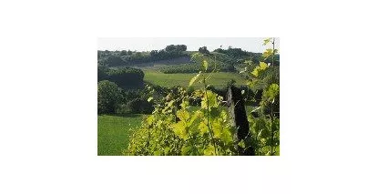 Nos Côtes de Duras - Large choix de vins des Côtes de Duras au meilleur prix