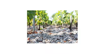 Nos Bordeaux Supérieur - Large choix de vins de Bordeaux Supérieur au meilleur prix