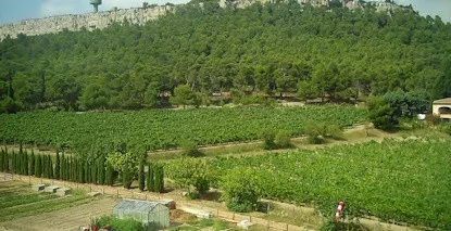 Nos vins de La Clape - Large choix de vins de La Clape au meilleur prix