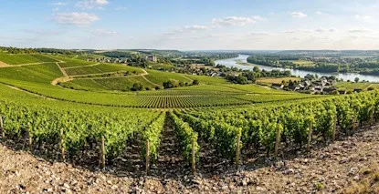 Nos Pouilly Fumé - Large choix de vins de Pouilly Fumé au meilleur prix