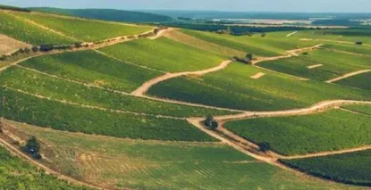 Nos Sancerre - Large choix de vins de Sancerre au meilleur prix