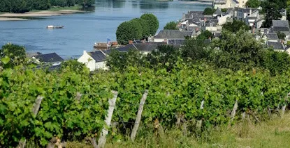 Nos Saumur  - Large choix de vins de Saumur  au meilleur prix