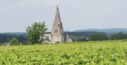 Nos Saumur Champigny - Large choix de vins de Saumur Champigny au meilleur prix