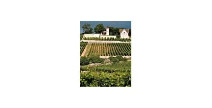 Nos Bourgogne - Découvrez notre sélection de vins de Bourgogne