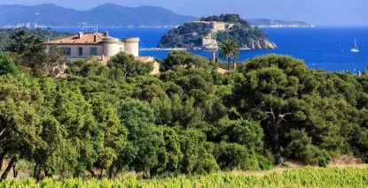 Nos vins de Provence - Large choix de vins de Provence au meilleur prix