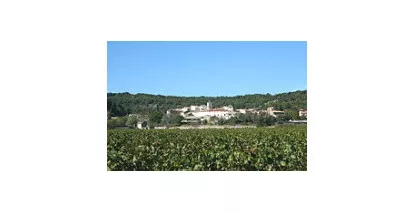 Vins de la Clairette du Languedoc