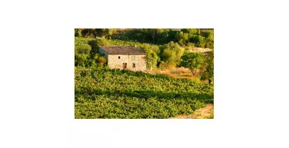 AOC Pézenas - Vins du Languedoc