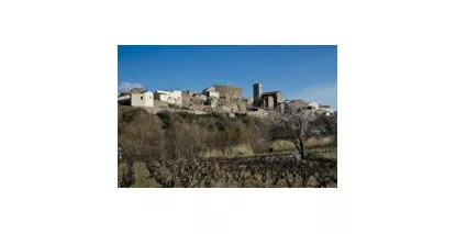AOC Latour de France - Vin du Roussillon