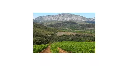 AOC Tautavel - Vins du Roussillon