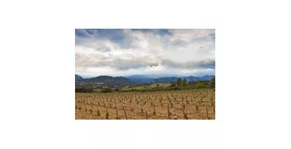 AOC Lesquerde - Vin du Roussillon