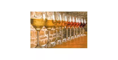 Vins de Savoie et Vins du Jura