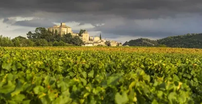 AOC Lubéron - Vin de la Vallée du Rhône