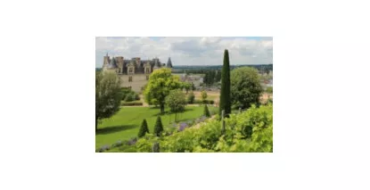 Vins de Touraine - Val de Loire - Achat en Ligne