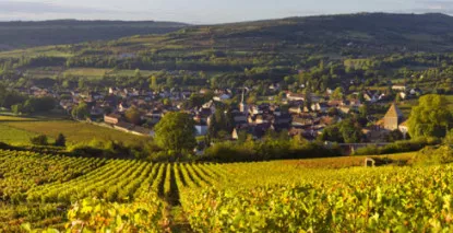 Nos vins du Santenay - En stock, expédition sous 24h00