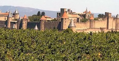 Cité de Carcassonne - Vin en ligne