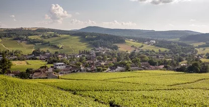 Nos vins de Mercurey - Vente en ligne