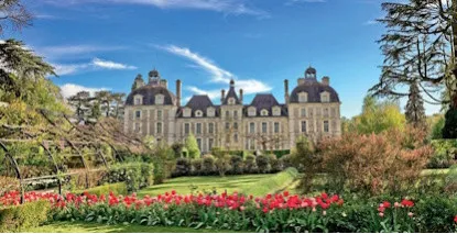 Vins de Cheverny AOP - Blancs et Rouges du Val de Loire