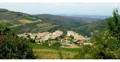 Vins IGP Haute-Vallée de l'Aude - Fraîcheur & Altitude