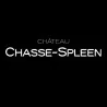 Château Chasse Spleen